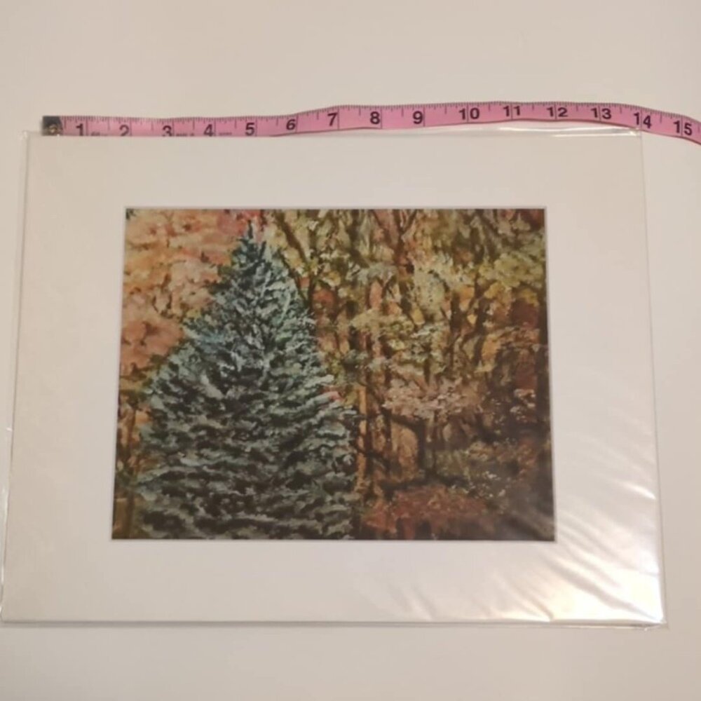 Archival Art Print 14" X 11" Matted Catskill Confetti Sharon Morthier Cabincore